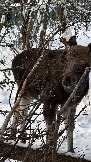 IMG_3445.JPG