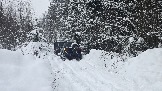 20260225_161852.jpg