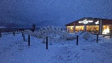 20251120_152555.jpg