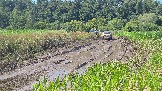 20260801_135055.jpg