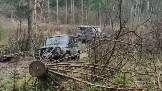 Моментальный снимок 26 (15.11.2023 19-02).png