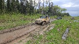 20260510_161337.jpg