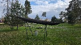 20260501_163355.jpg