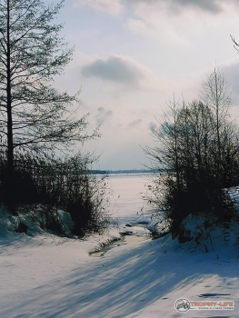 Фото Трофи-лайф 4х4 покатушка Мещерские Скитания 30.01.21 -50.jpg