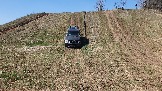 20250420_122703.jpg