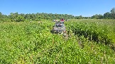 20260606_152040.jpg
