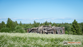 _DSC7885.jpg
