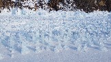 DJI_0876.JPG