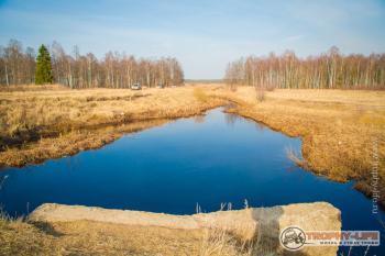2020-03-28-kubrinsk-89.jpg