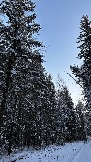 IMG_3057.JPG
