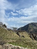 IMG_8611.JPEG
