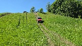 20260606_143313.jpg
