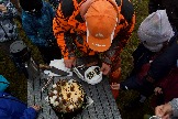 IMG_8382.jpeg