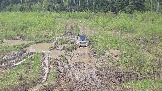 20260510_150907.jpg