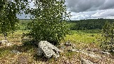 IMG_1195.jpg