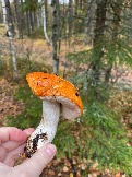 IMG_5678.JPG