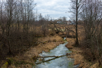 _DSC6752.jpg