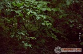 01378п79.jpg