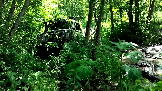 Трофи-лайф фото 4х4 покатушка Рузские Срезочки 22.06.2024 -  (32).png