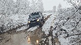 20251115_113151.jpg