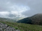 IMG_8462.JPEG