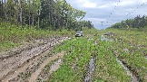 20260510_161400.jpg