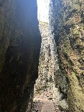 IMG_8635.JPEG