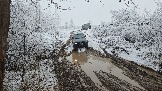 20251115_112613.jpg