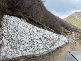 IMG_8602.JPEG