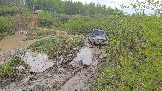 20260510_141156.jpg