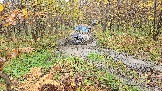 20251011_120045.jpg