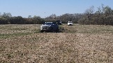 20250420_133839.jpg