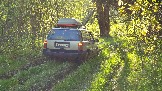 20240504_172100.jpg