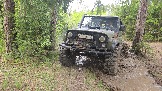 20260510_113107.jpg
