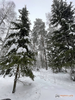 Фото Трофи-лайф 4х4 покатушка Юрьев День 23.01.21 -19.jpg