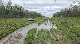 20260510_171311.jpg
