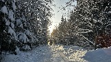 IMG_3203.JPG
