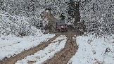20251115_123647.jpg