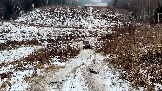 Трофи-лайф фото 4х4 покатушка Рогачевские Сокровища  08.02.2025 - (46).jpg