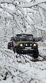 20251115_111048.jpg