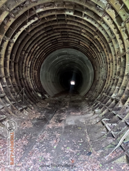Фото Трофи-лайф 4х4 экспедиция Абхазия 2022 1-9.05.22  (48).jpg