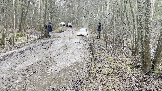 Трофи-лайф фото 4х4 покатушка Шатура-Петушки 30.11.2024 - (52).png