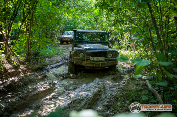 _MG_4936.jpg