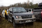 IMG_8243.jpeg