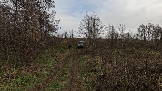 Трофи-лайф фото 4х4 День Рождения Трофи-лайф 17 лет 26.10.2024 -  (5).png
