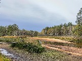 IMG_5635.JPG
