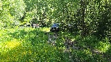 20260606_114849.jpg