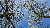 20250503_112754.jpg