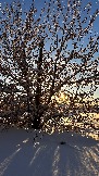 IMG_2793.JPG