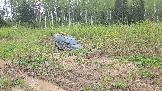 20260510_141951.jpg